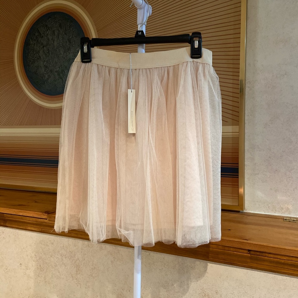 Tulle Skirt